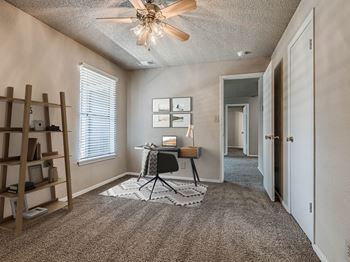 Ceiling fan